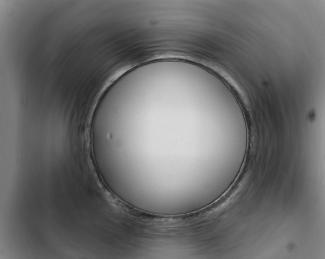 X0000103231145200808280944