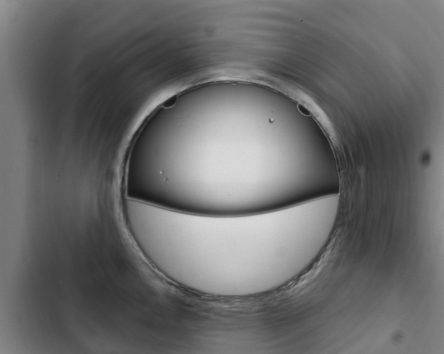 X0000103231146200808280944