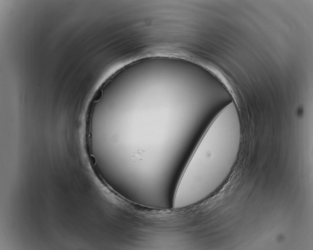 X0000103231147200808280944
