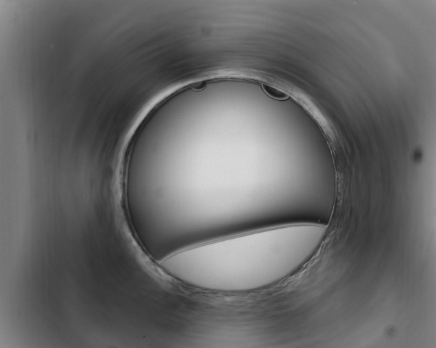 X0000103231148200808280944