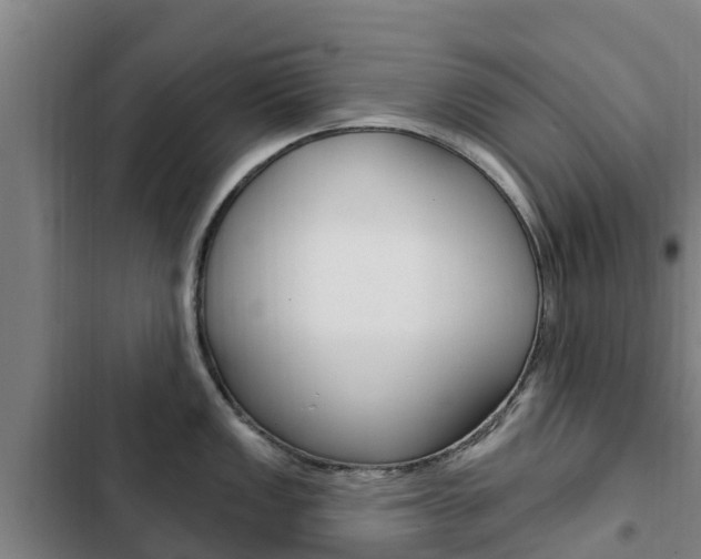 X0000103231149200808280944