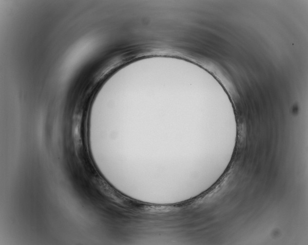 X0000103231150200808280944