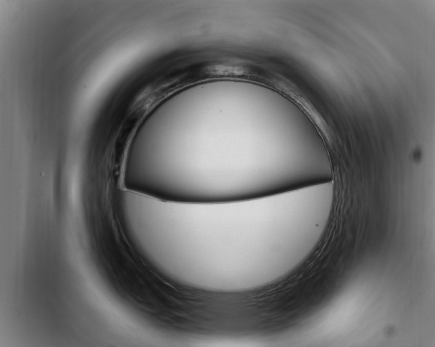 X0000103231151200808280944
