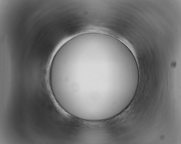 X0000103231152200808280944