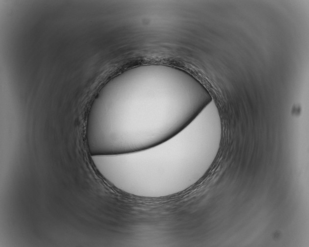 X0000103231153200808280943