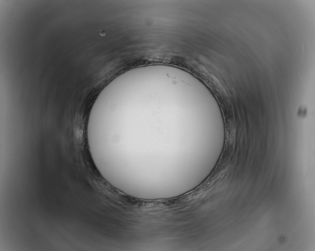 X0000103231154200808280943