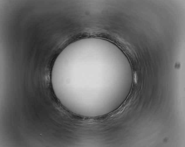 X0000103231155200808280943