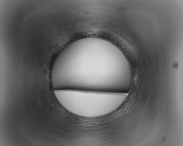 X0000103231156200808280943