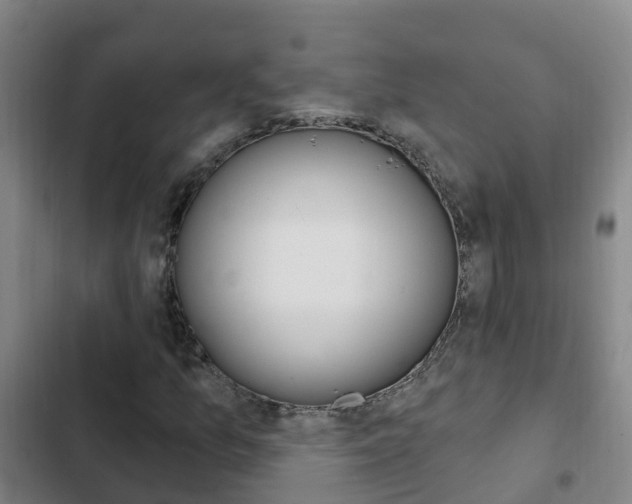 X0000103231157200808280943