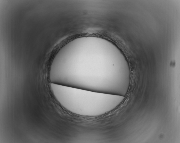 X0000103231158200808280943