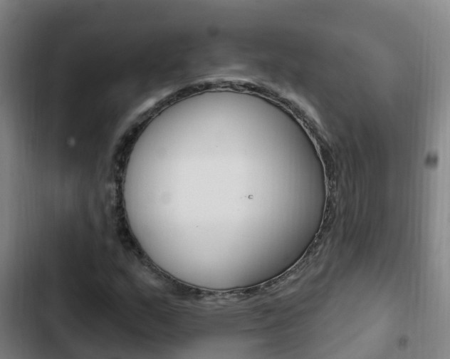 X0000103231159200808280943
