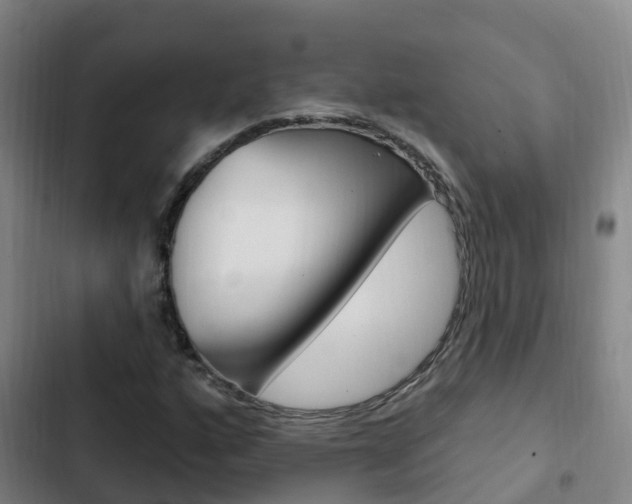 X0000103231160200808280943