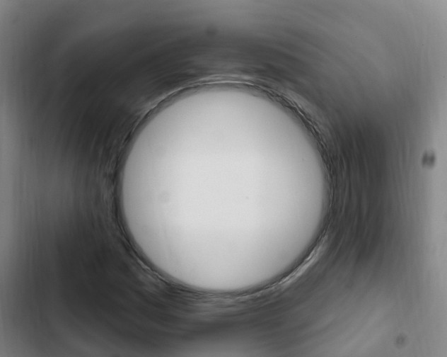 X0000103231161200808280943