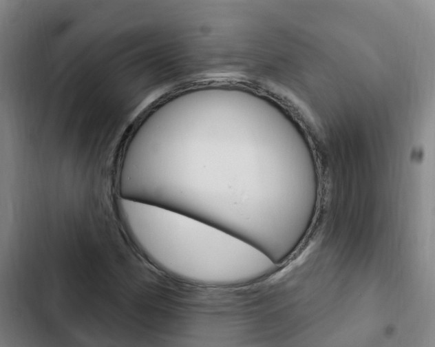 X0000103231162200808280943