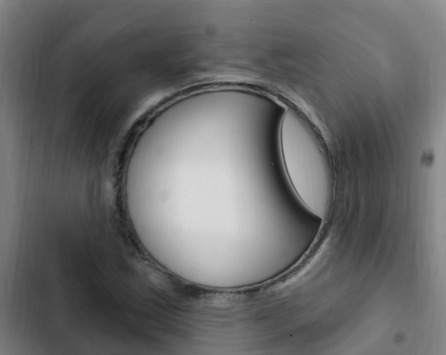 X0000103231163200808280943