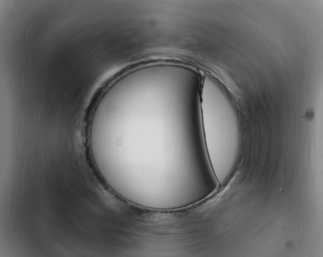 X0000103231164200808280943