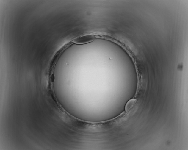 X0000103231165200808280943