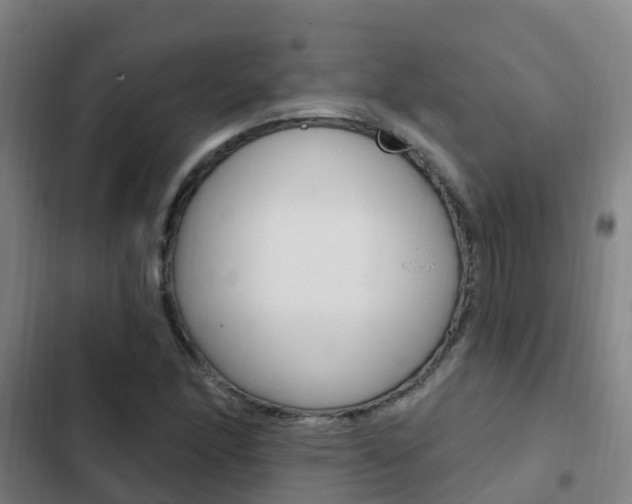 X0000103231166200808280943