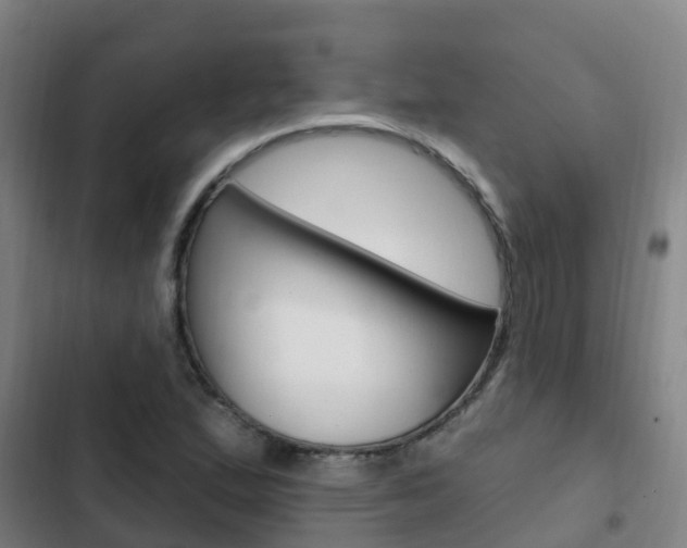 X0000103231167200808280943