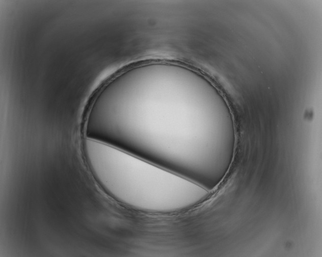 X0000103231168200808280943