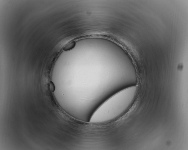 X0000103231169200808280943
