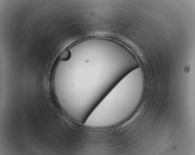 X0000103231170200808280943