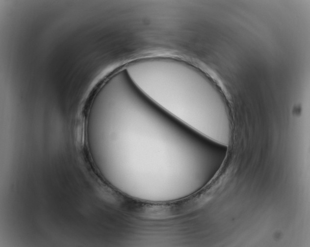 X0000103231171200808280943