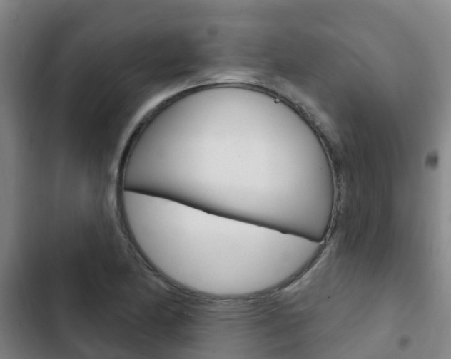 X0000103231174200808280942