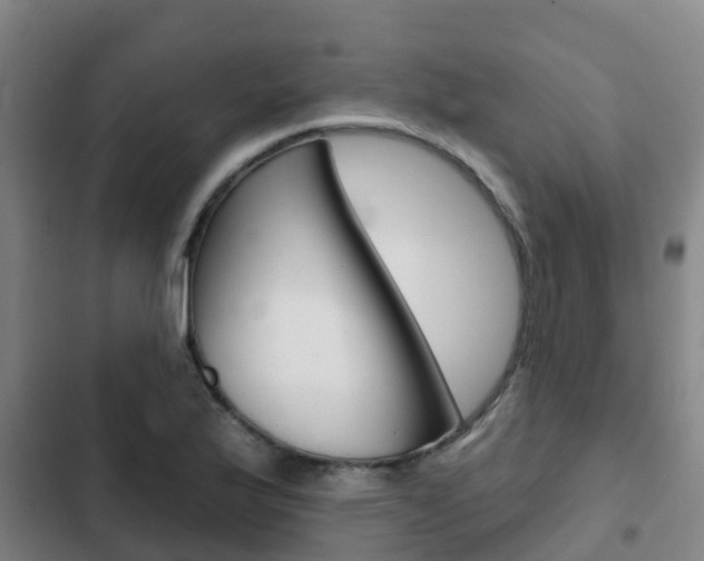 X0000103231175200808280942