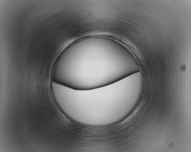 X0000103231177200808280942