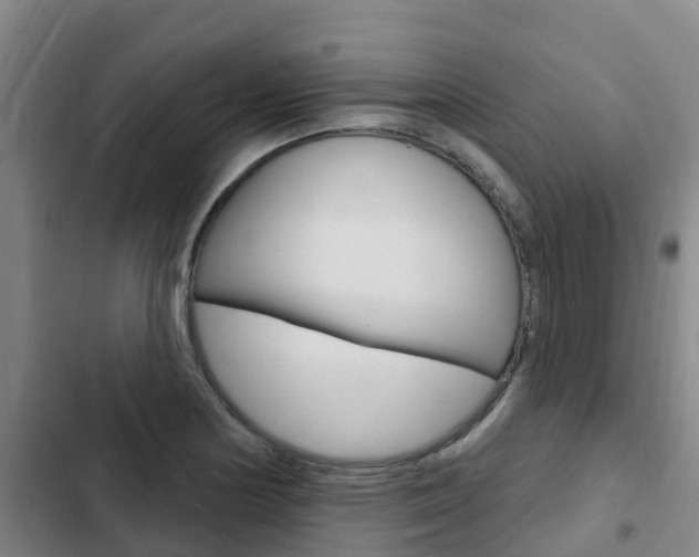 X0000103231178200808280942