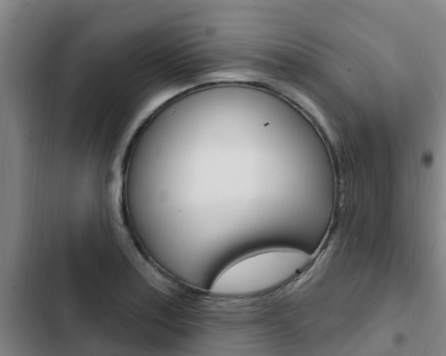 X0000103231179200808280942