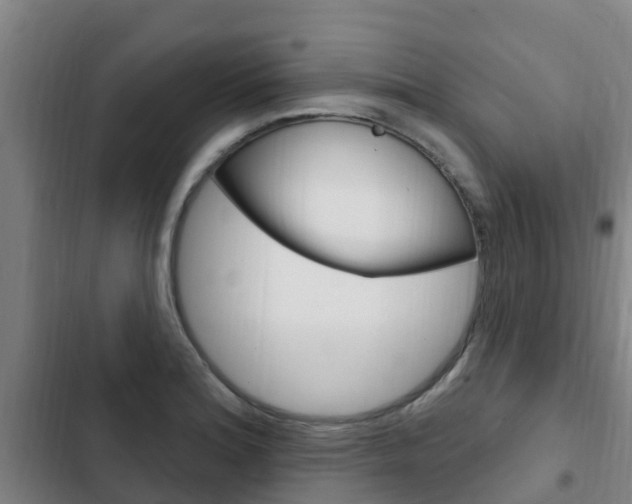 X0000103231180200808280942