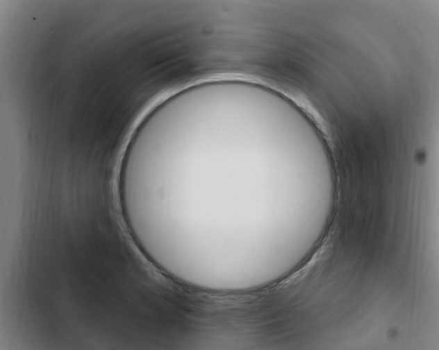 X0000103231181200808280942