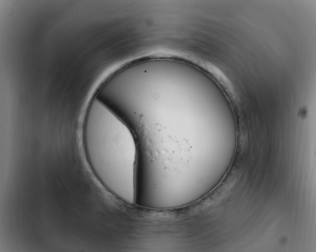 X0000103231183200808280942