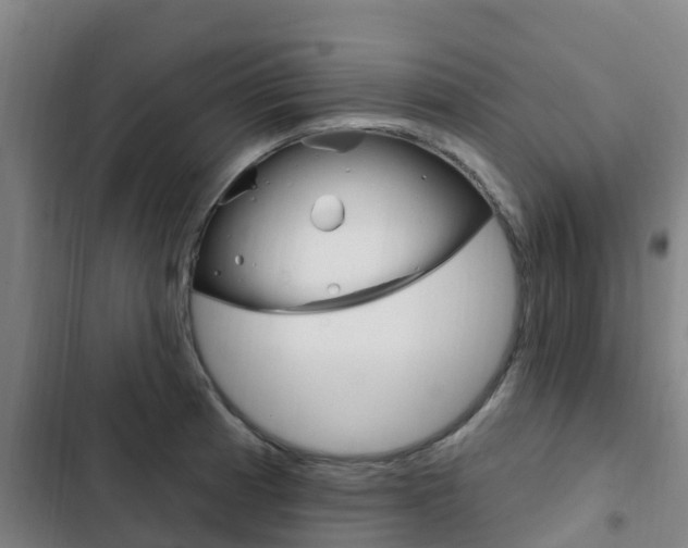 X0000103231185200808280942