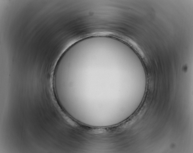 X0000103231186200808280942