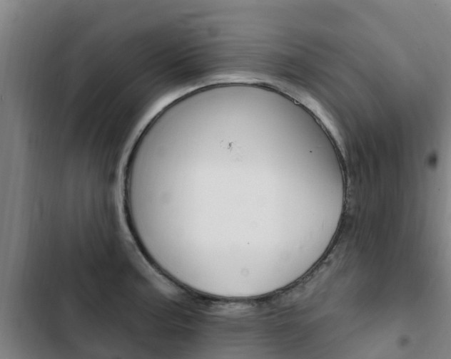 X0000103231187200808280942