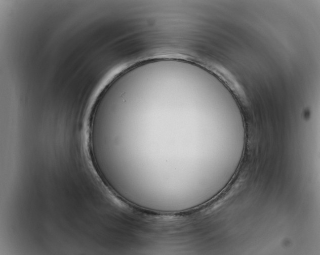 X0000103231188200808280942