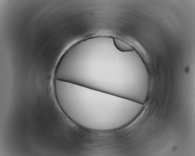 X0000103231190200808280942