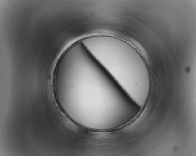 X0000103231192200808280942
