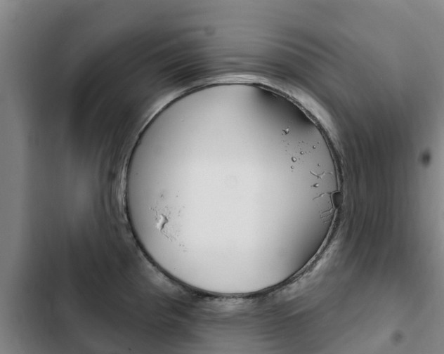 X0000103231193200808280942
