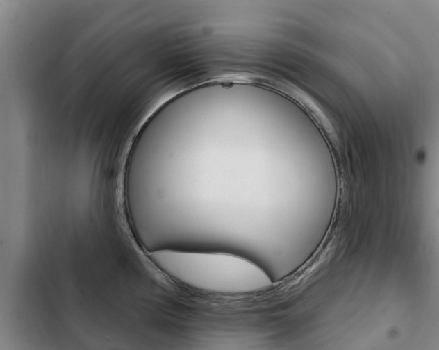 X0000103231194200808280942