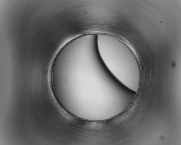 X0000103231195200808280942