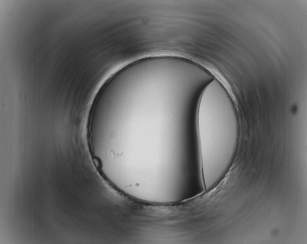 X0000103231197200808280942