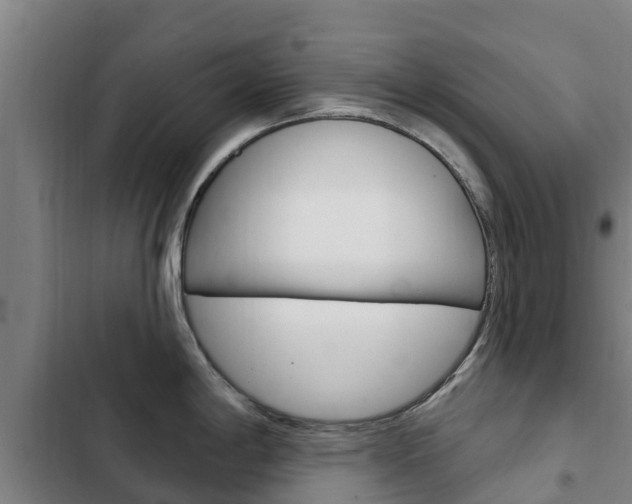 X0000103231198200808280942