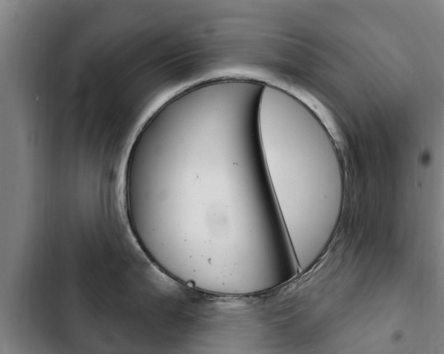 X0000103231199200808280942