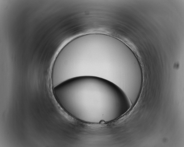 X0000103231200200808280942