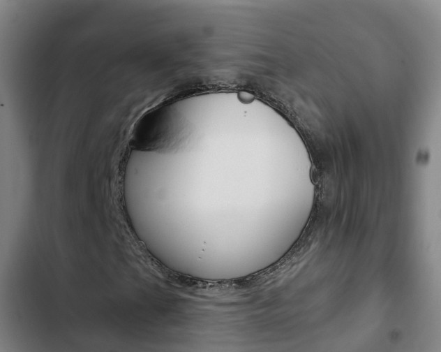 X0000103231201200808280941