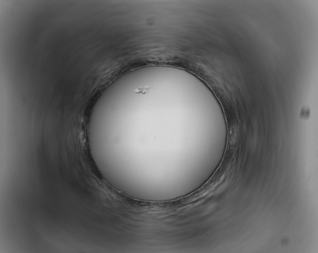 X0000103231202200808280941